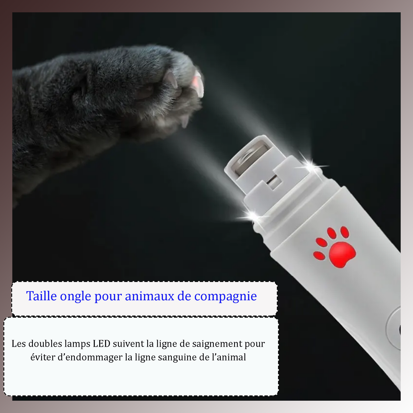 Meuleuse d'Ongles Électrique Portable Rechargeable pour Chien et Chat, Coupe-Ongles pour Animaux de Compagnie avec Lumière LED, Meuleuse à Ongles pour Animaux de Compagnie en Vente Chaude