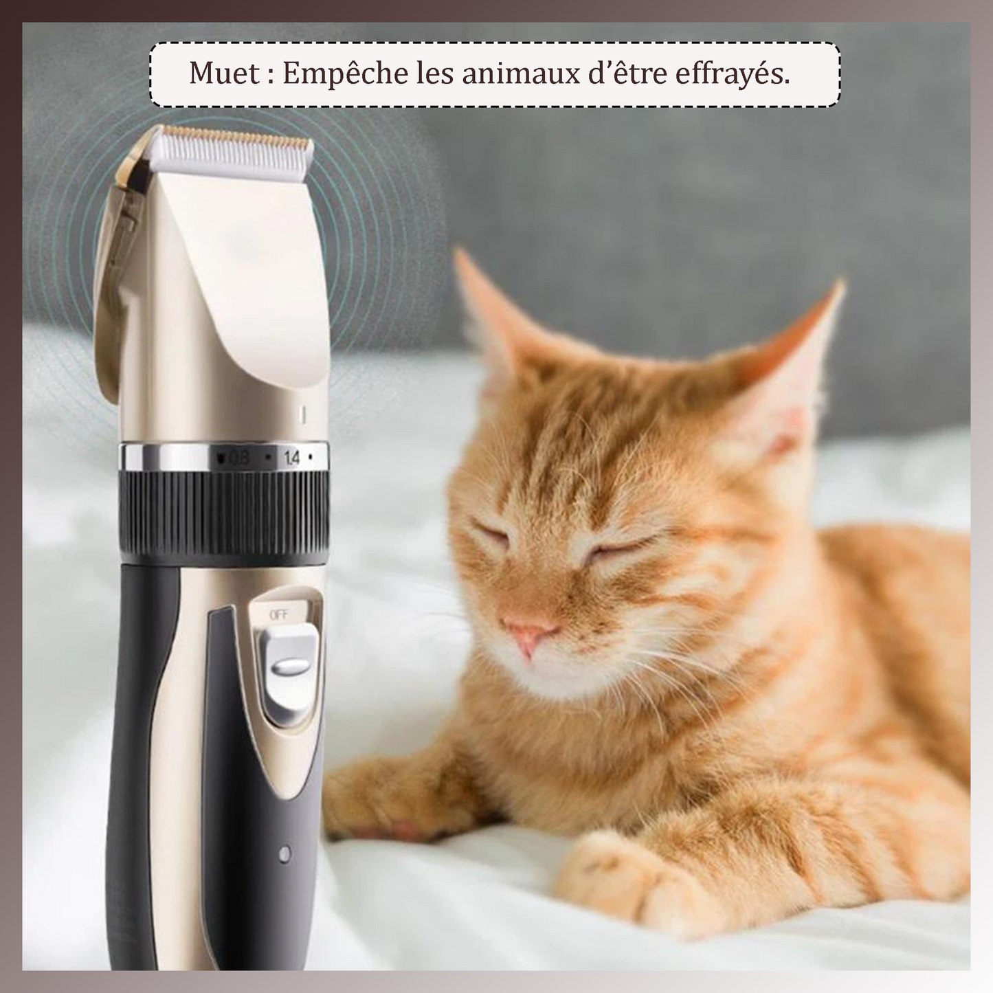 Ensemble de Toilettage pour Poils d'Animaux de Compagnie Nouveauté 2022 : Tondeuse Supérieure Rechargeable pour Chiens et Chats