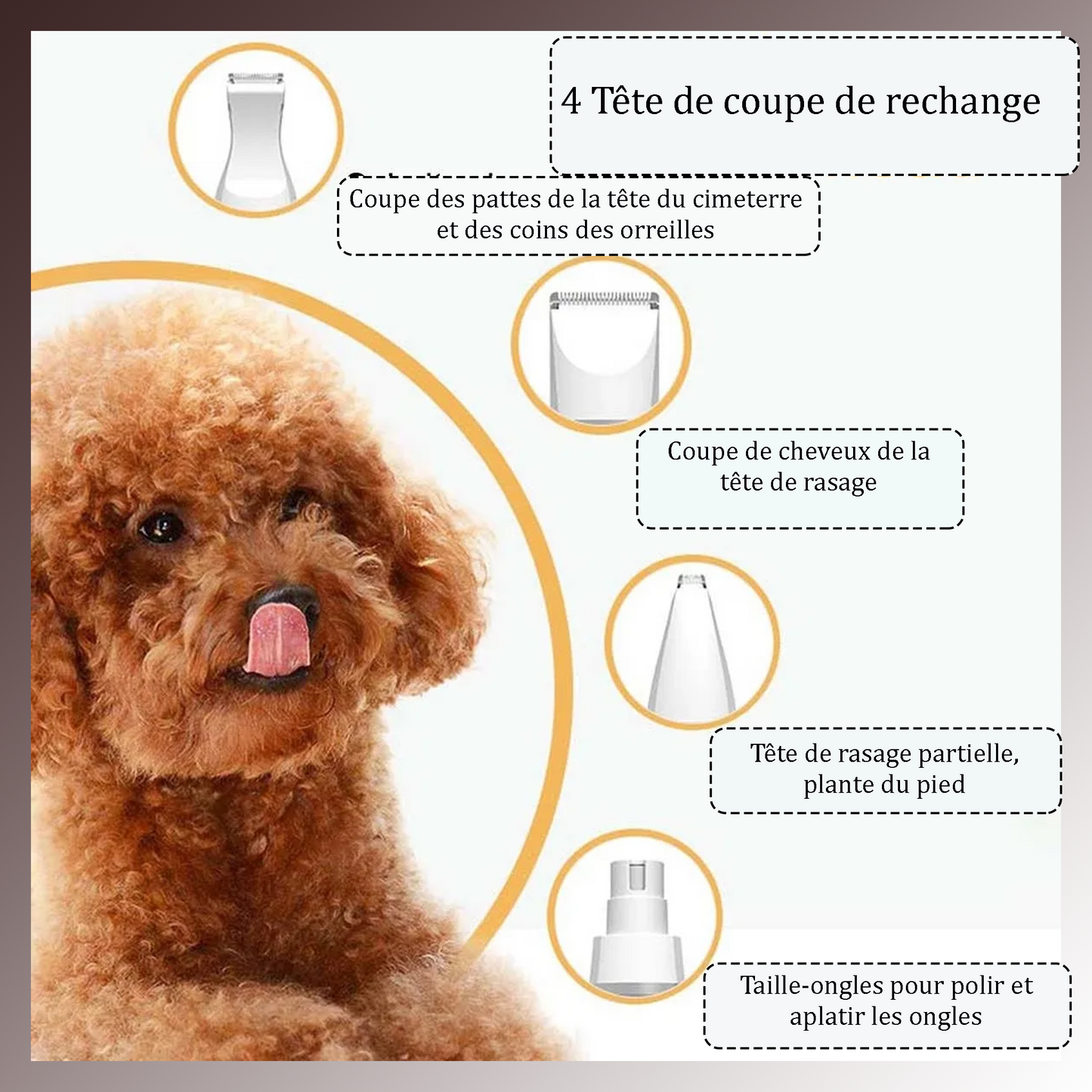 Ensemble de Toilettage pour Animaux 4-en-1 : Lime à Ongles et Tondeuses Électriques pour Chiens, Grignoteuses pour Poils d'Animaux