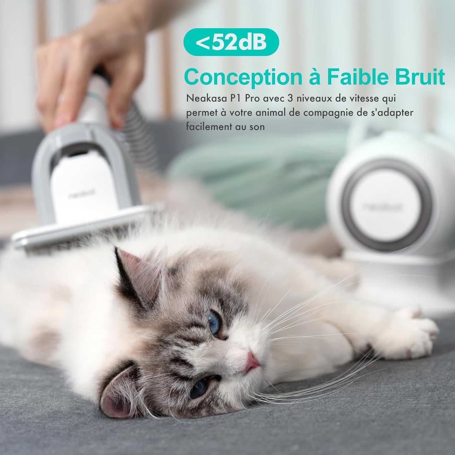 Ensemble de Tondeuses pour Chiens 5-en-1 avec Système d'Aspiration par Aspirateur, Kit OEM, Nouveauté 2022 pour Chiens, Chats et Autres Animaux