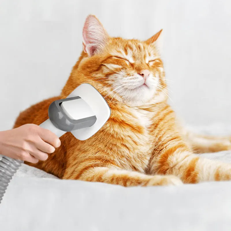 Ensemble de Toilettage pour Chiens et Chats avec Aspirateur de Toilettage, Tondeuse, Brosse, et Outils de Mue